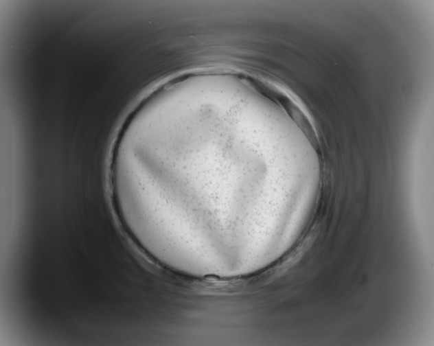 X0000087601485200705251912