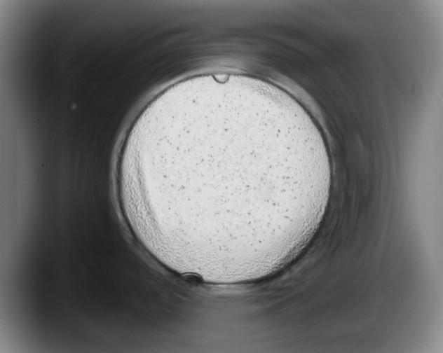 X0000087601488200705251912