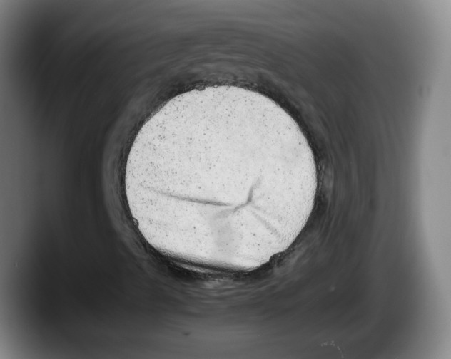 X0000087601489200705251911