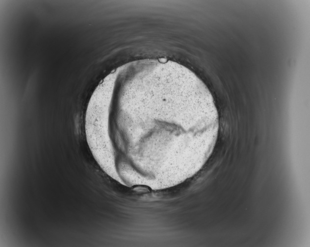 X0000087601490200705251911