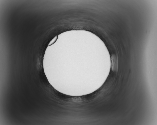 X0000087601491200705251911