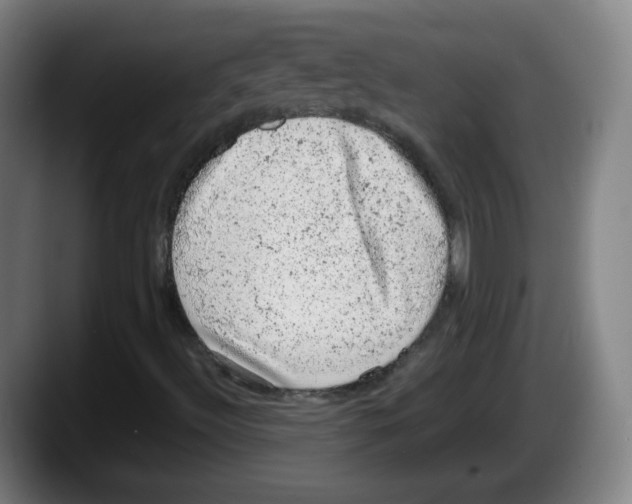 X0000087601492200705251911