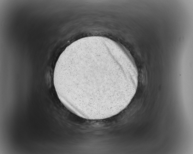 X0000087601493200705251911