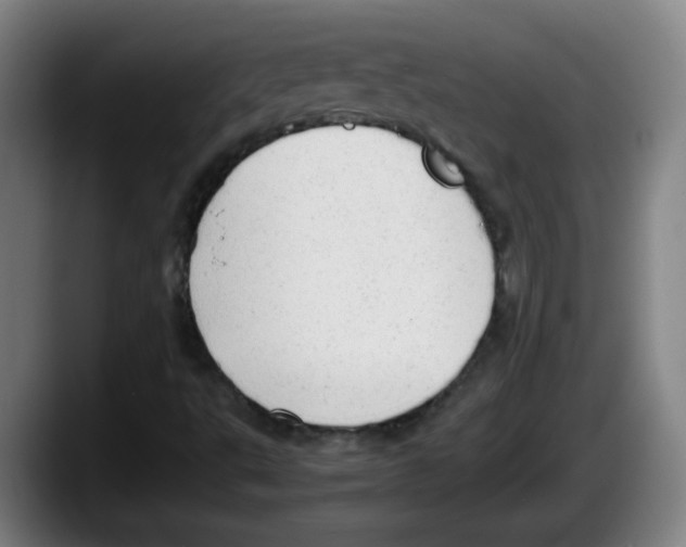 X0000087601495200705251911