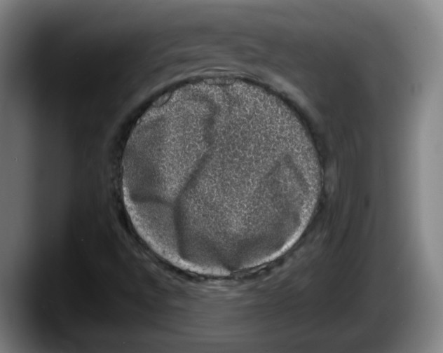 X0000087601496200705251911