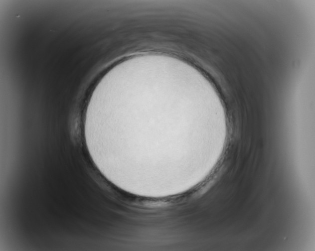 X0000087601498200705251911