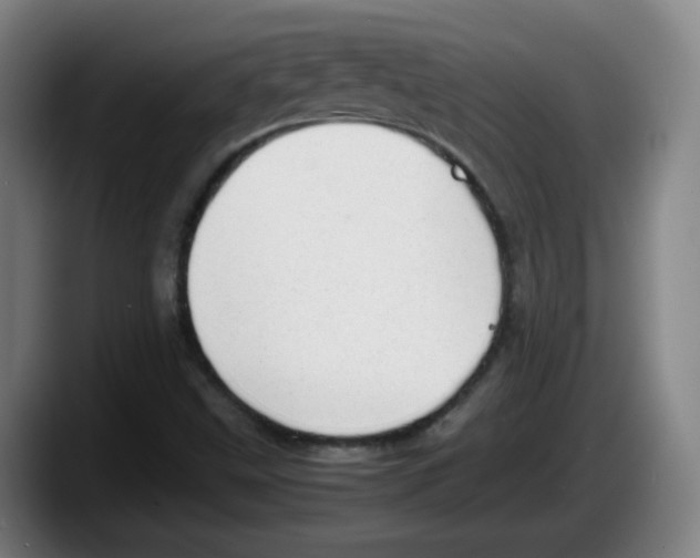 X0000087601499200705251911