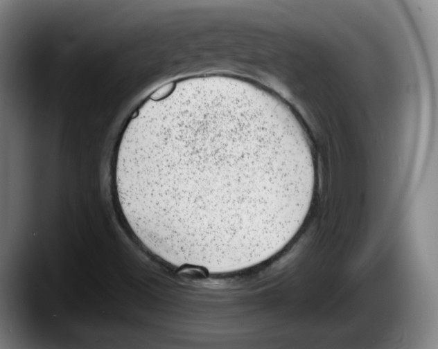 X0000087601500200705251911