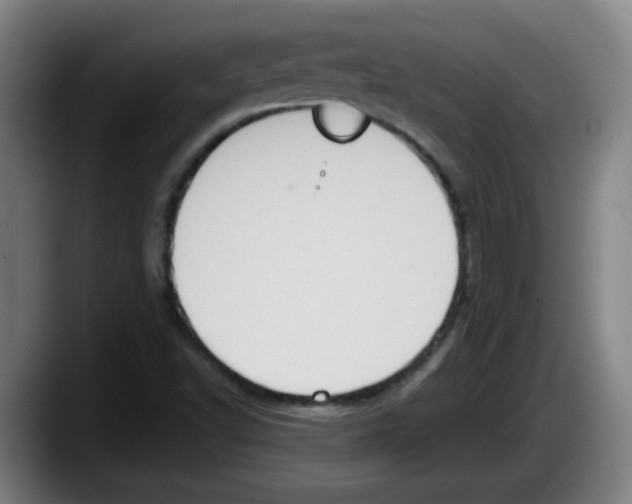 X0000087601502200705251911