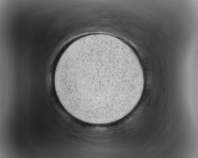 X0000087601503200705251911