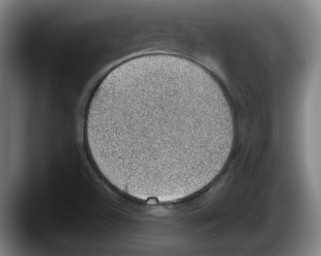 X0000087601504200705251911