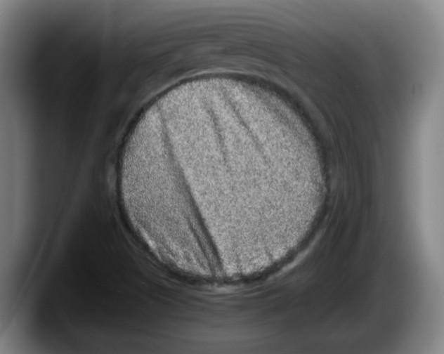 X0000087601505200705251911