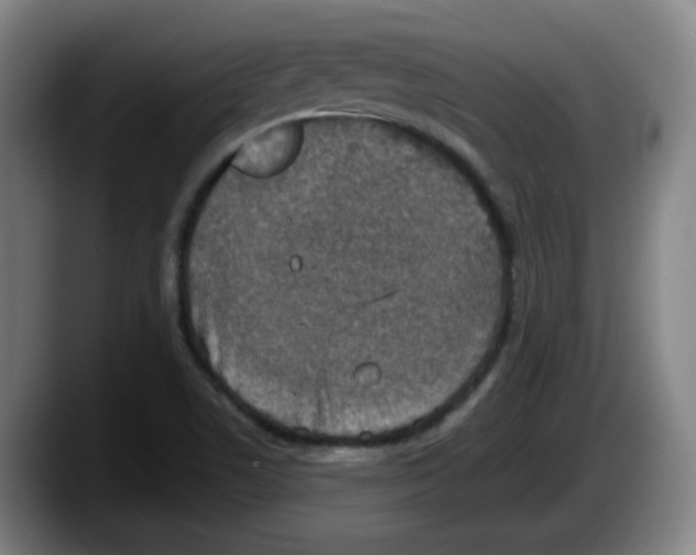 X0000087601506200705251911