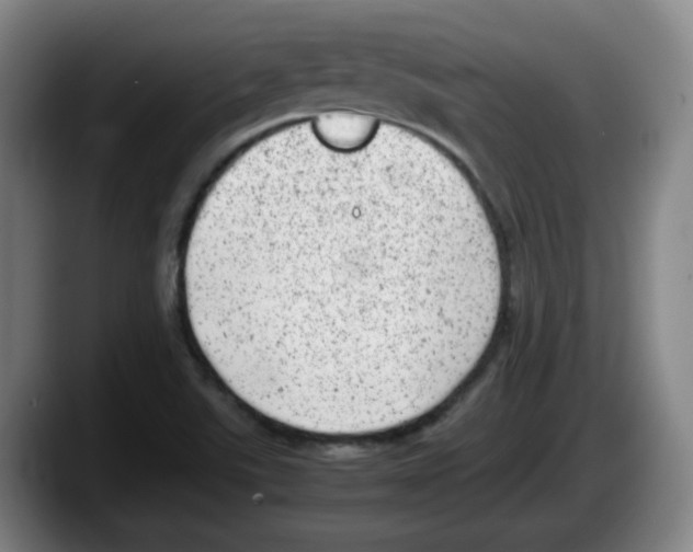 X0000087601507200705251911