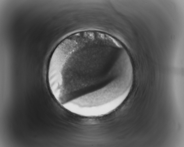 X0000087601508200705251911