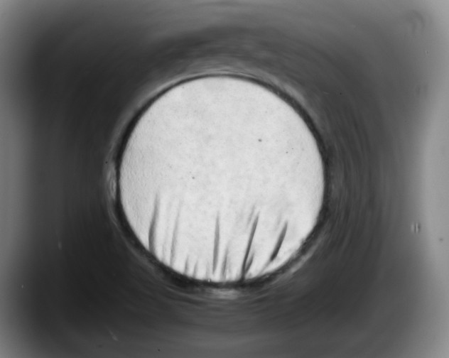 X0000087601509200705251911