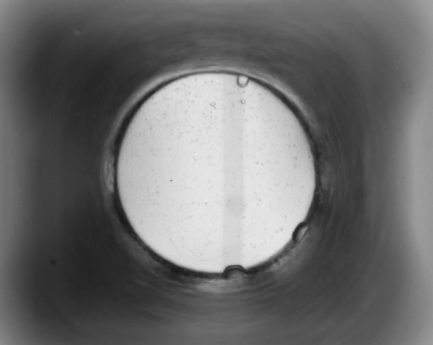 X0000087601510200705251911