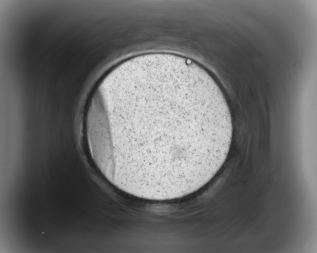 X0000087601511200705251911