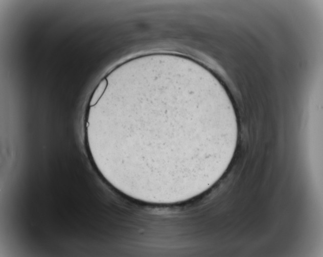 X0000087601512200705251911