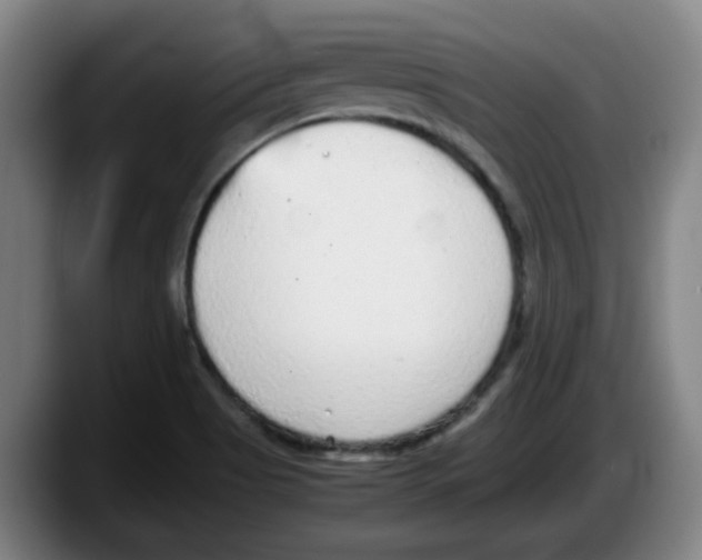 X0000087601513200705251911