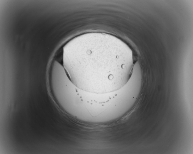 X0000087601514200705251911