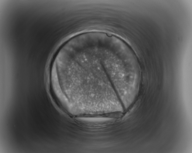 X0000087601515200705251911