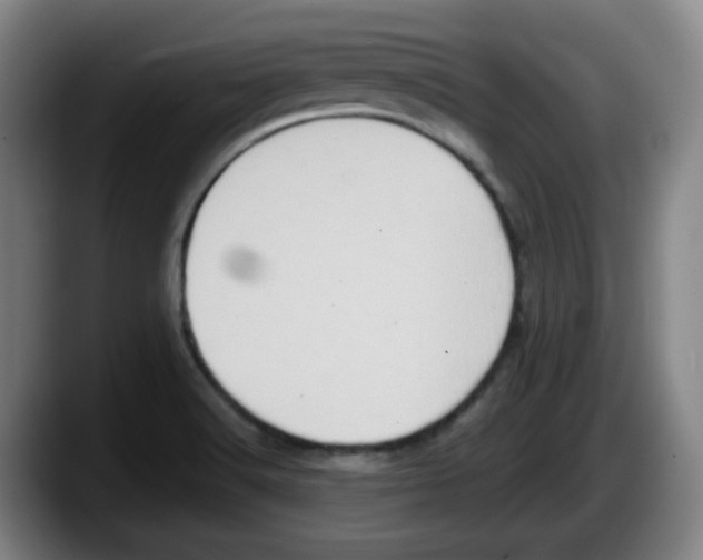 X0000087601516200705251912