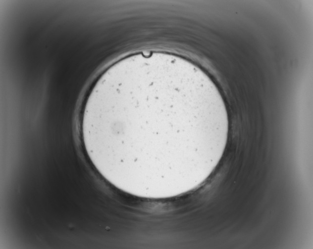 X0000087601517200705251912