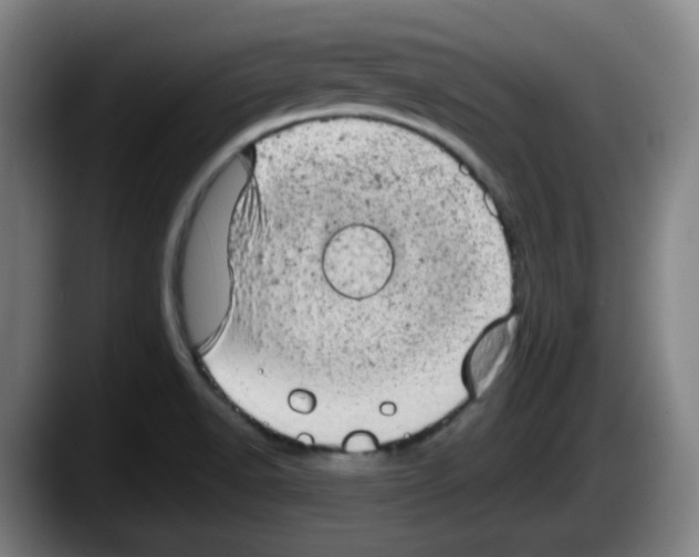 X0000087601518200705251912