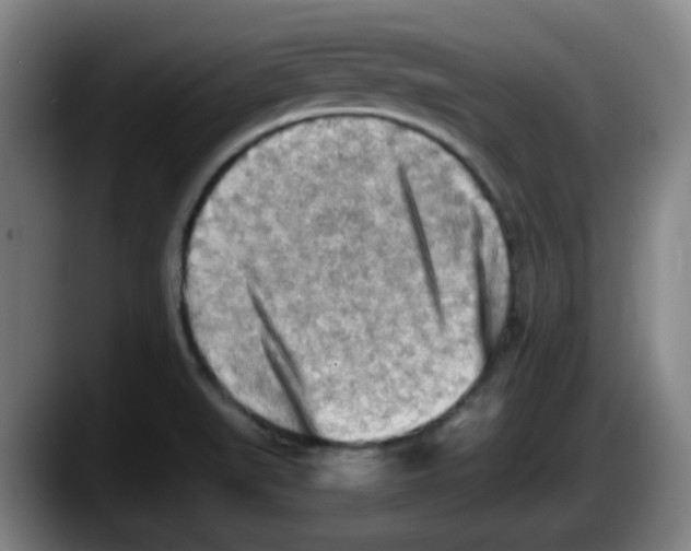 X0000087601519200705251912