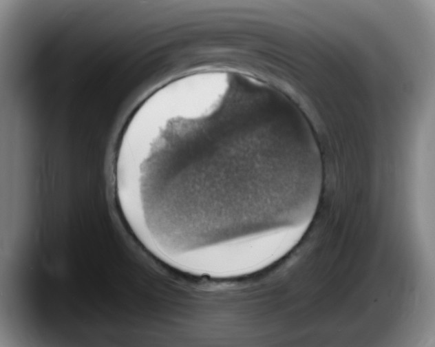 X0000087601522200705251912