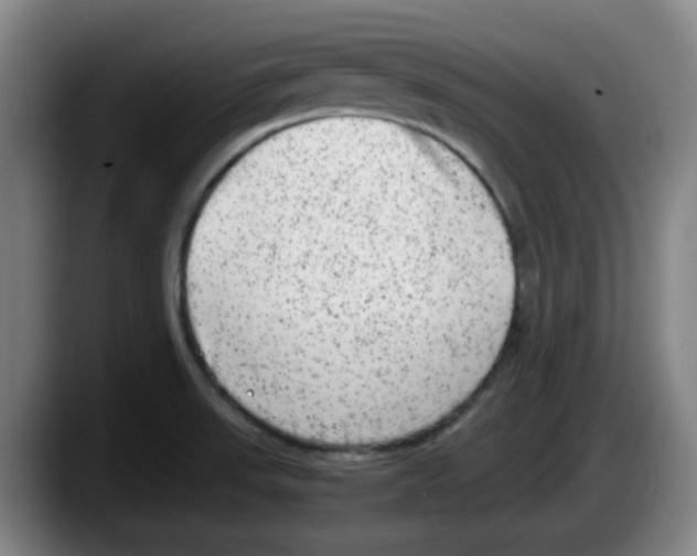 X0000087601523200705251912