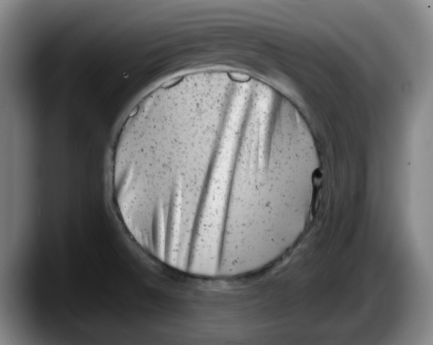 X0000087601524200705251912