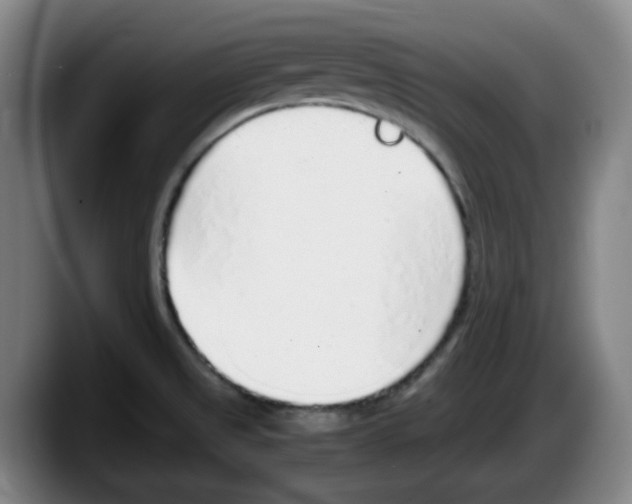 X0000087601525200705251912