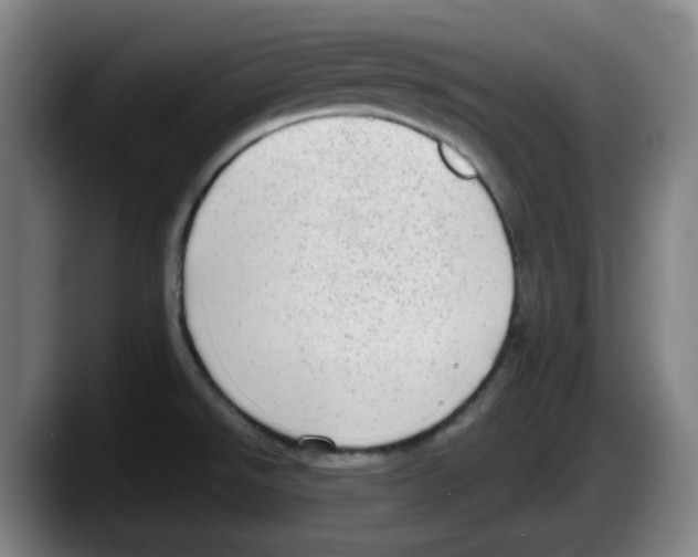 X0000087601526200705251912