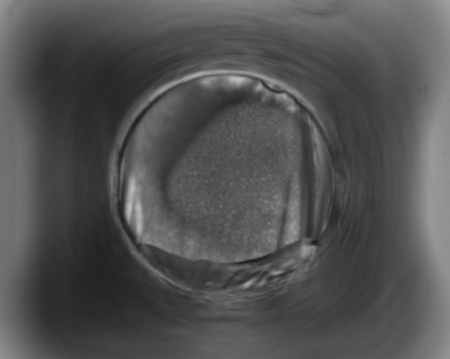 X0000087601527200705251912