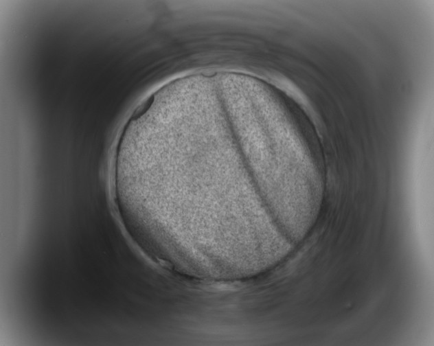 X0000087601528200705251912