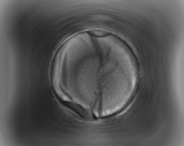 X0000087601529200705251912