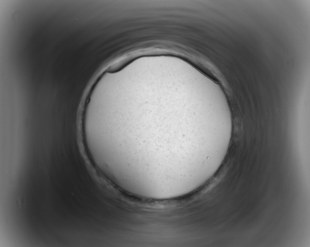 X0000087601530200705251912