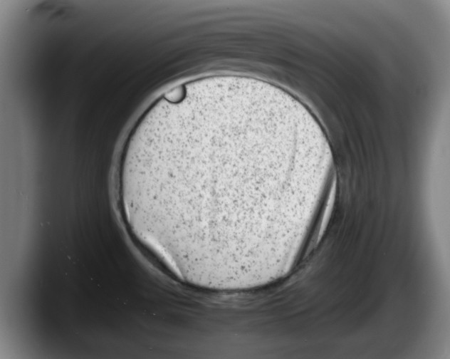 X0000087601531200705251912