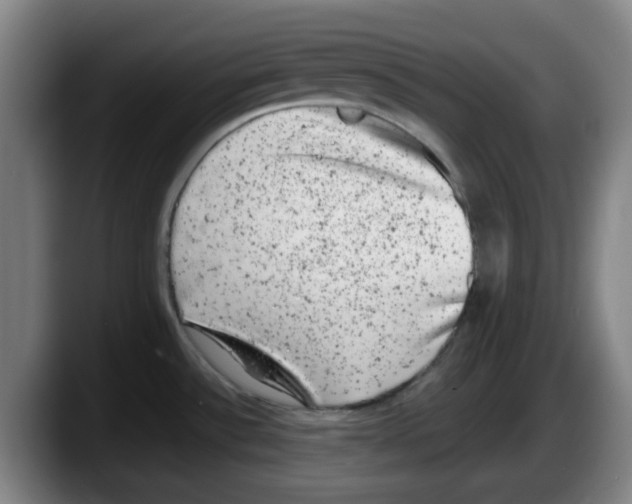 X0000087601532200705251912