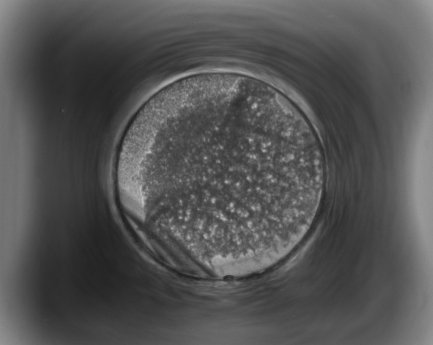 X0000087601533200705251912