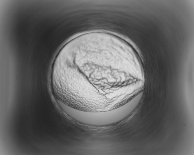 X0000087601534200705251912