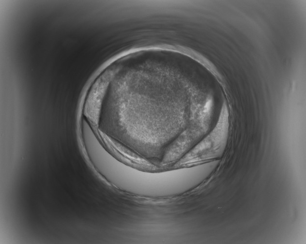 X0000087601536200705251912