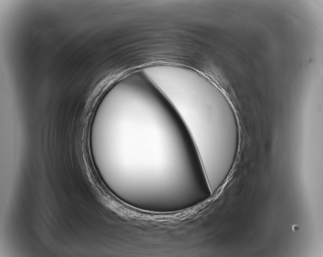 X0000087610001200704271109