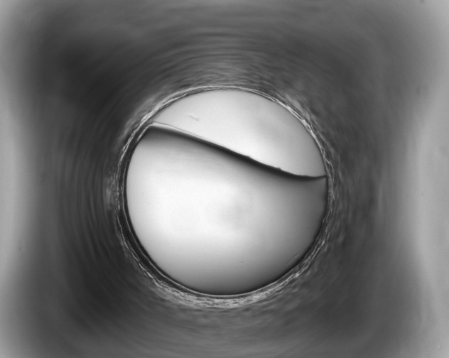 X0000087610002200704271109