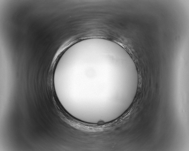 X0000087610004200704271109
