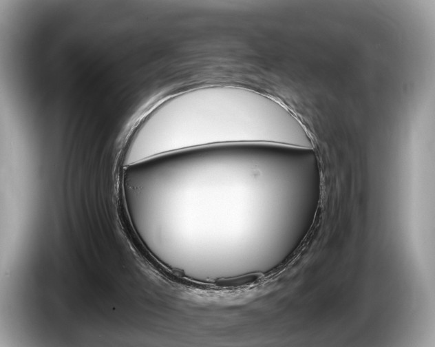 X0000087610005200704271109