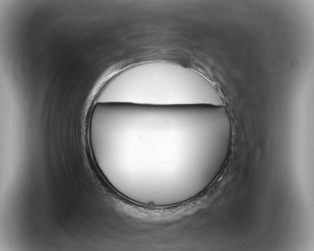 X0000087610006200704271109