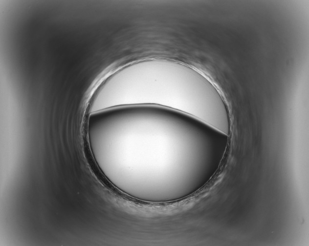 X0000087610007200704271109